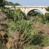 ...fin quando non arriviamo ai piedi del �Ponte Antico�.  Si tratta una struttura in pietra dorata che mette in collegamento i due costoni della lama: costruito nel 1882 � anche chiamato il �Ponte del Brigante�